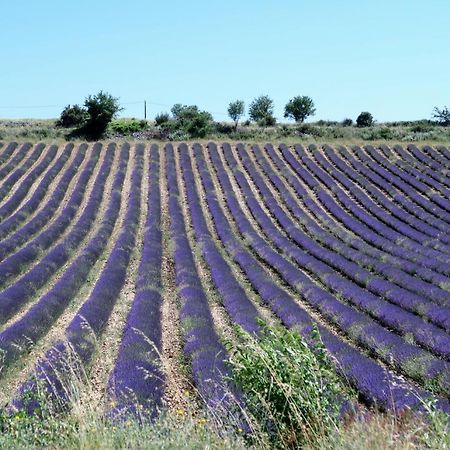 La Terrasse D'Olea, Au Coeur Du Village 布依斯·莱斯·巴罗尼 外观 照片