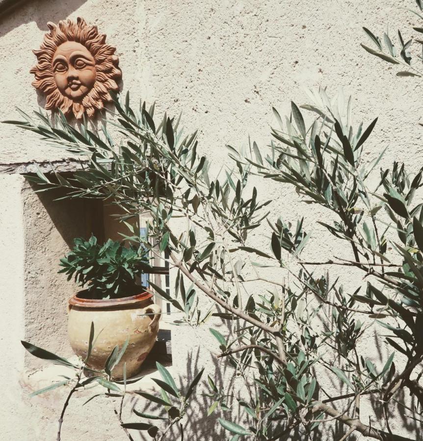La Terrasse D'Olea, Au Coeur Du Village 布依斯·莱斯·巴罗尼 外观 照片